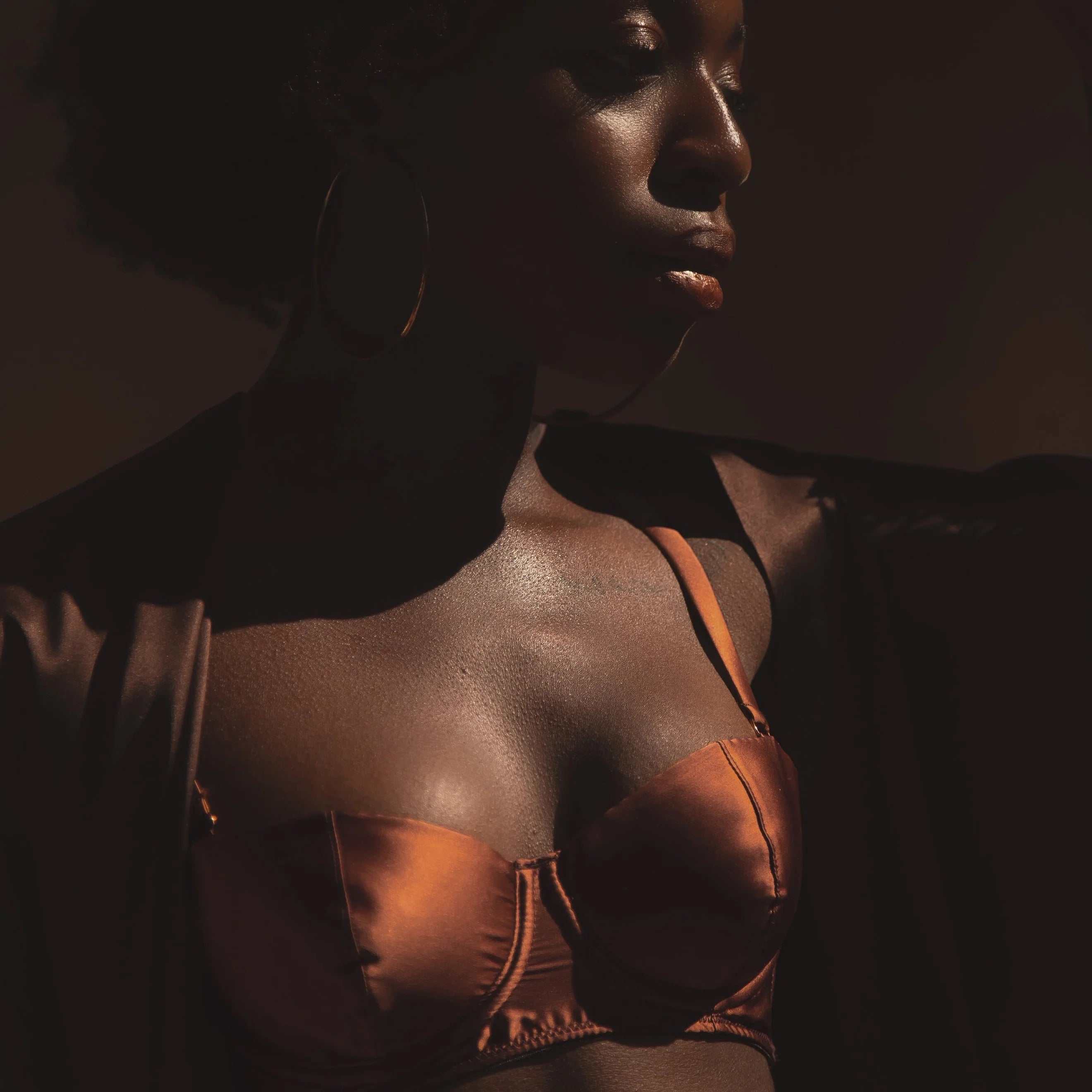 sheer lace braMawu Copper Silk Balconette Bra